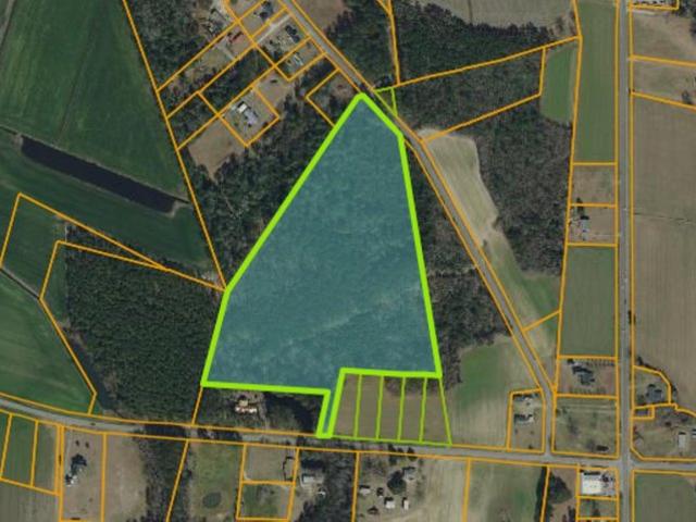 Land for sale in Galivants Ferry, South Carolina