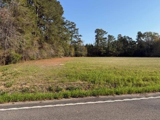 Land for sale in Galivants Ferry, South Carolina