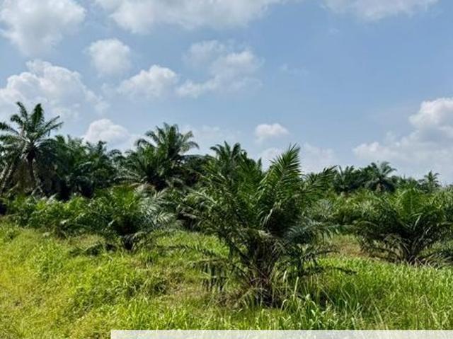Warehouse for sale in Pontian, Johor