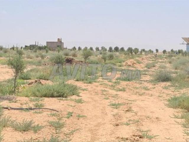 Propriété vente à Guercif