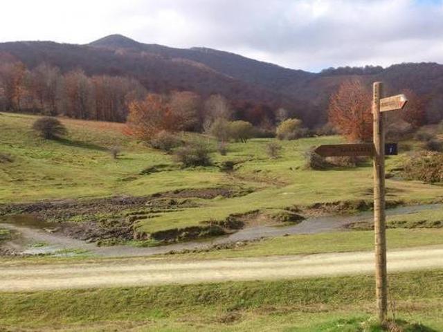 Casa en alquiler en Larraun-Leitzaldea, Navarra