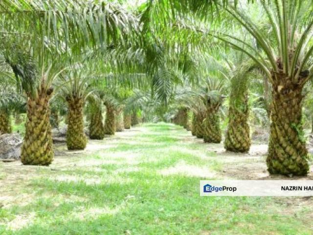 Shop for sale in Pilah, Negeri Sembilan