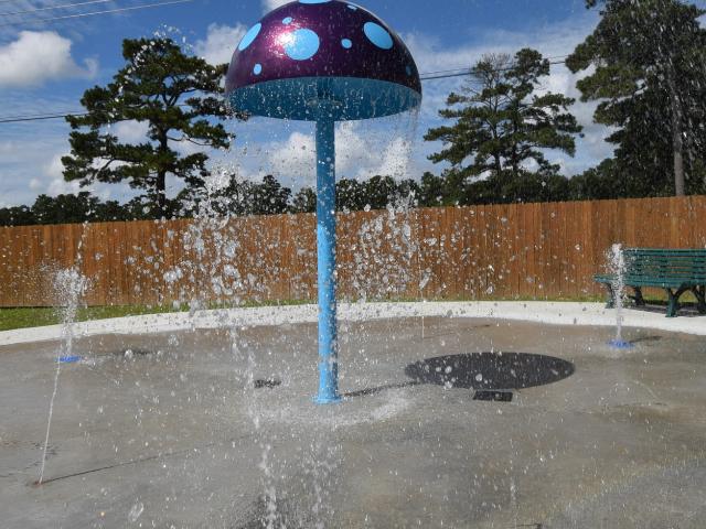 Apartment for rent in Denham Springs
