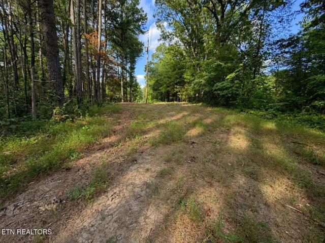 Land for sale in Tennessee
