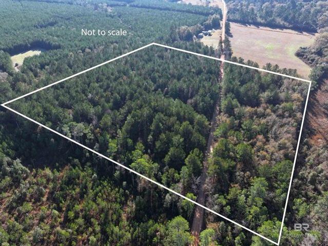 Land for sale in Brewton, Alabama