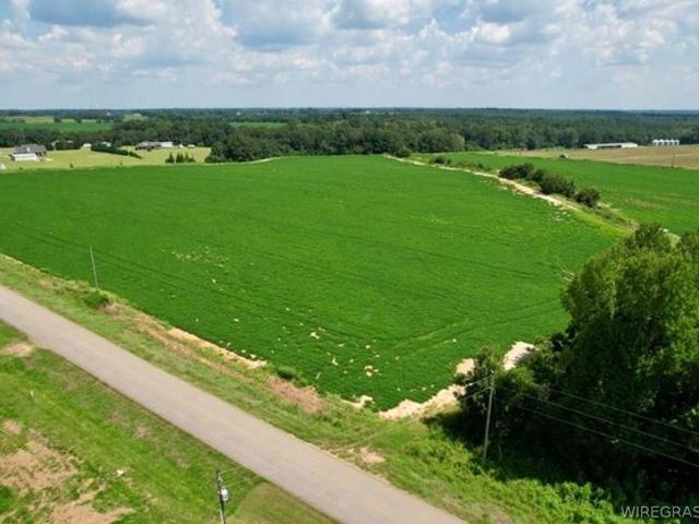 Land for sale in Dale, Alabama
