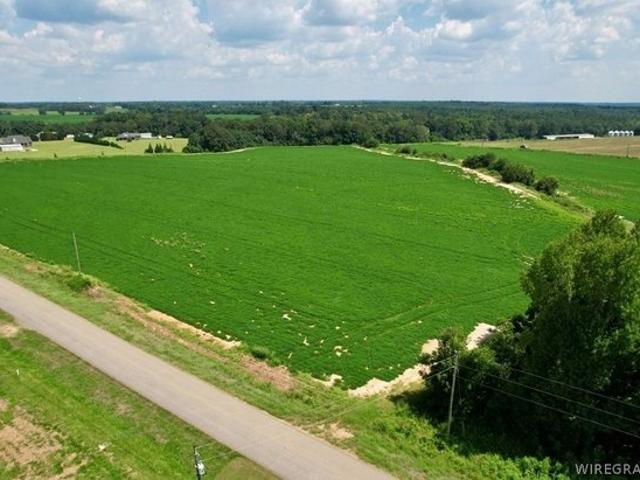Land for sale in Dale, Alabama