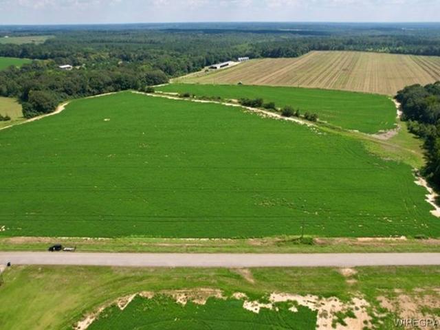 Land for sale in Dale, Alabama