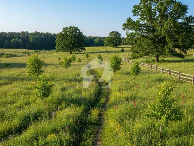 Property for sale in Rawalpindi, Islamabad Capital Territory