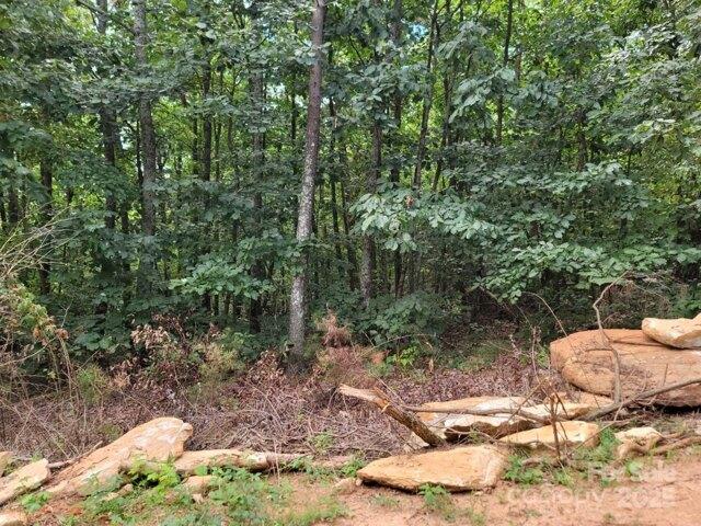 Land for sale in Casar, North Carolina