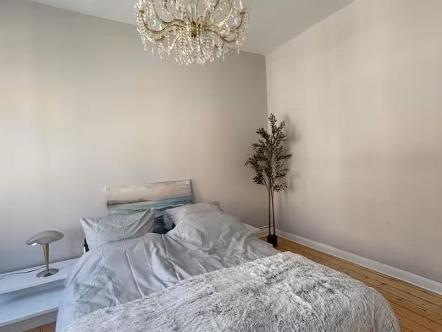 Apartment mieten in Mitte, Braunschweig