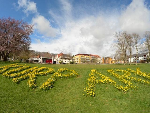 Haus kaufen in Bad Hersfeld, Hessen