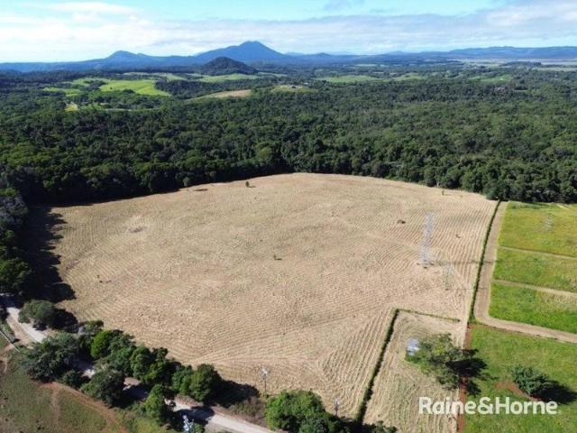 Land for sale in Julatten, Queensland