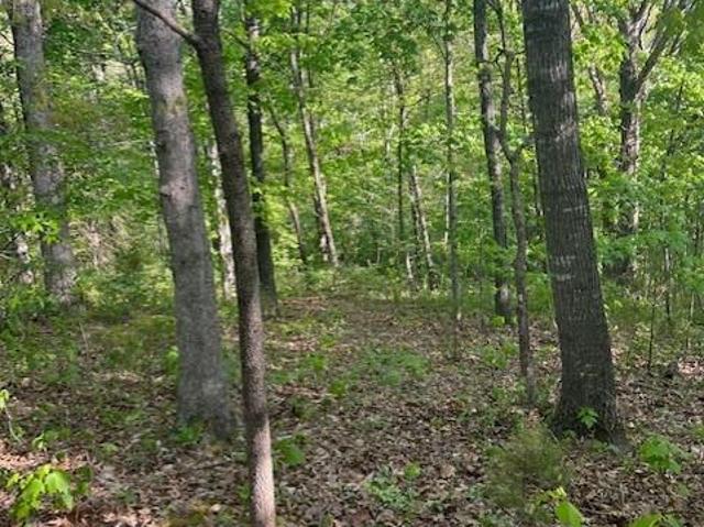 Land for sale in Ark