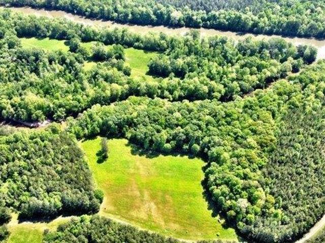 Land for sale in Juliette, Georgia