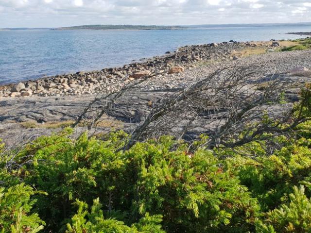 Stuga hyra i Halland