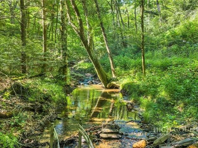 Land for sale in Watauga, North Carolina