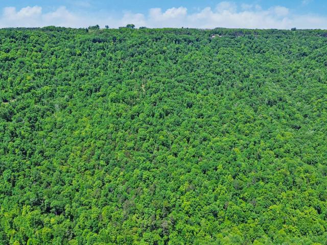 Land for sale in Tennessee