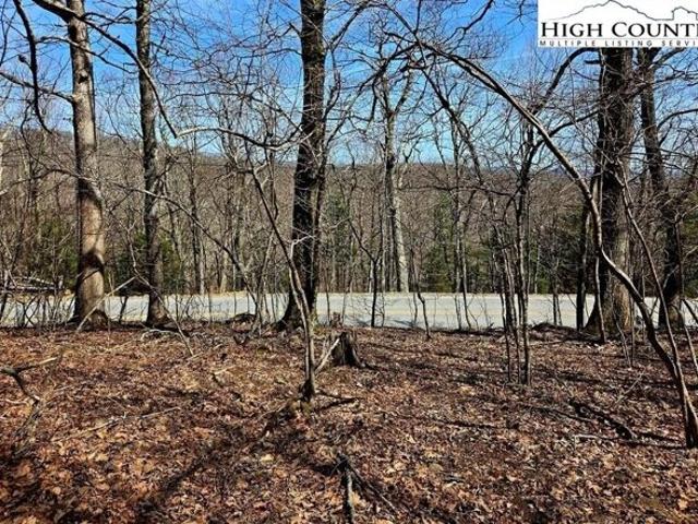 Land for sale in Boone