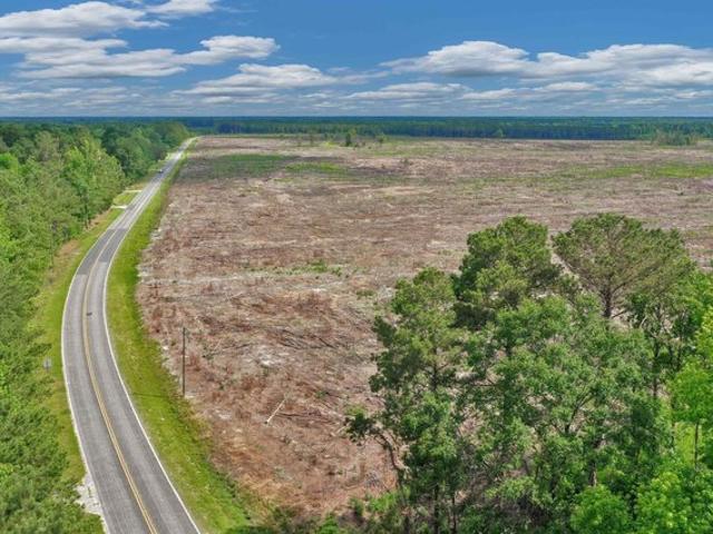 Land for sale in Manning, South Carolina
