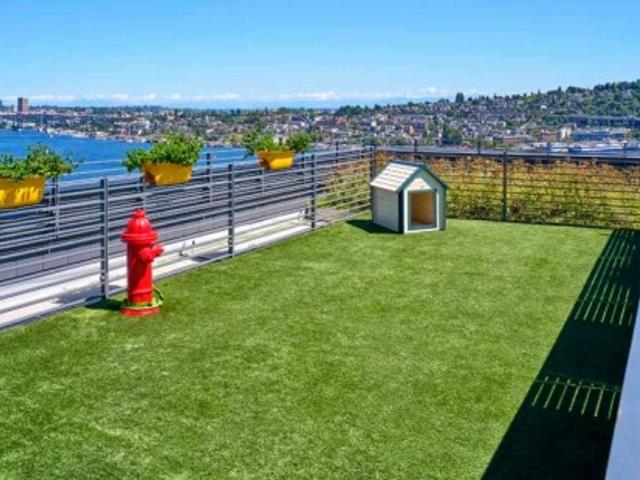 Apartment for rent in Seattle, Washington