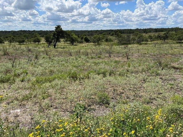 Land for sale in Harper, Gillespie County