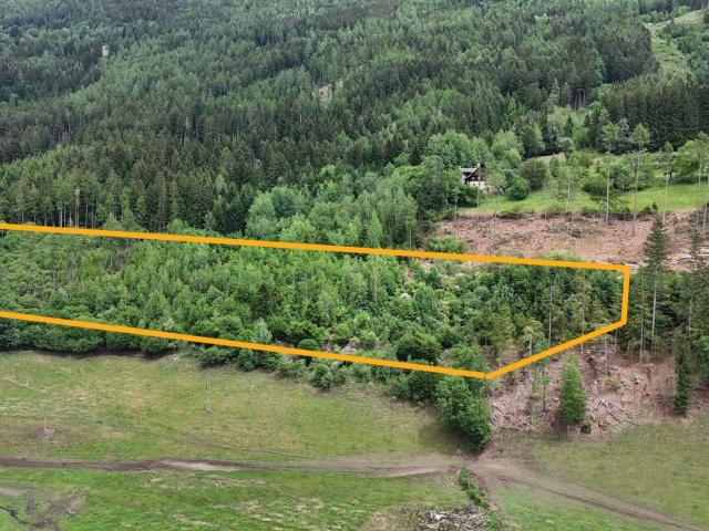 Landwirtschaft kaufen in Gmünd, Kärnten