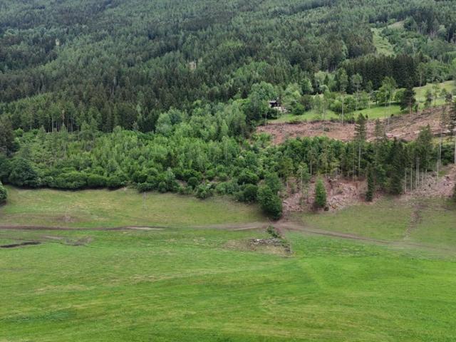 Landwirtschaft kaufen in Gmünd, Kärnten