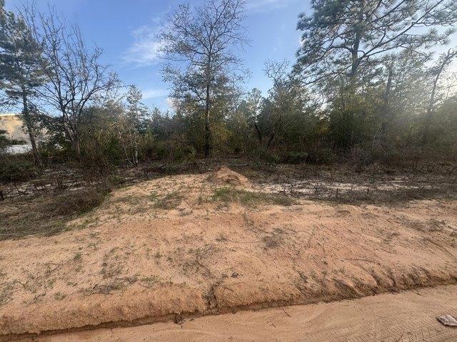 Land for sale in Walton, Florida