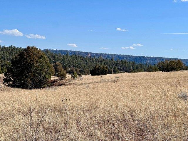Land for sale in Ramah, New Mexico