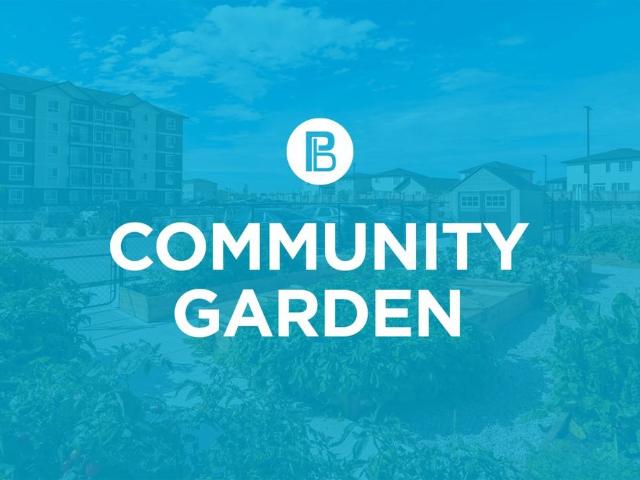 Apartment for rent in Saskatoon, Saskatchewan