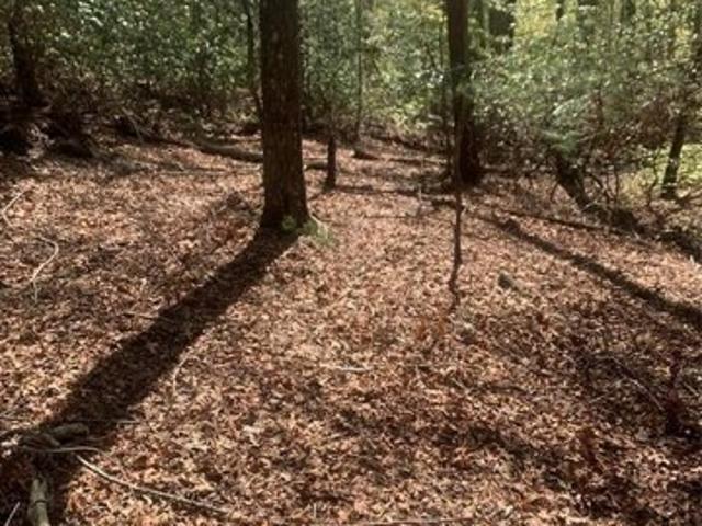 Land for sale in Brevard