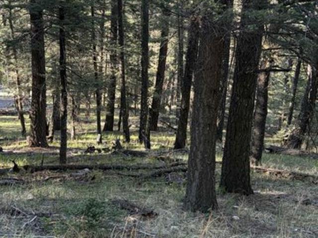 Land for sale in Mayhill, New Mexico