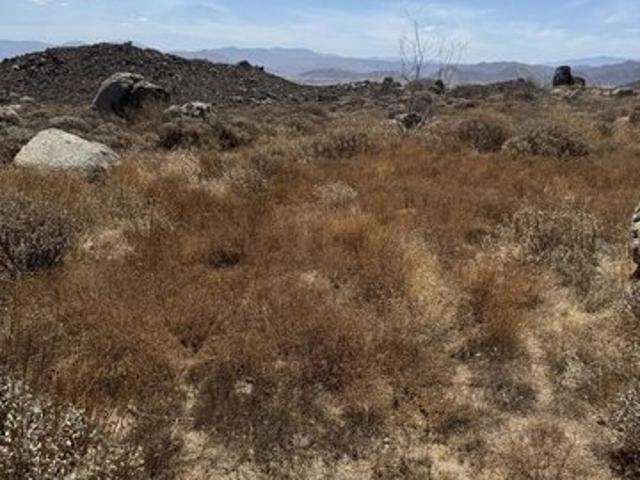 Land for sale in Homeland, California