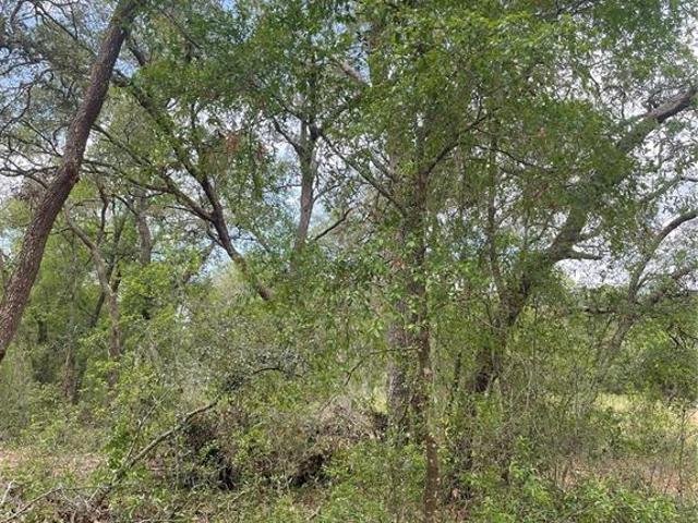 Land for sale in Lady Lake, Florida