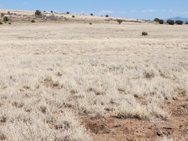Land for sale in Ash Fork, Arizona