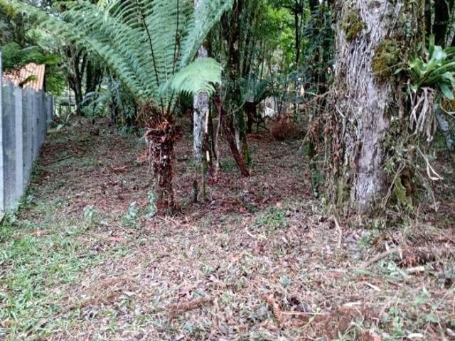 Terreno venda em Região Geográfica Imediata de Caxias do Sul, Canela