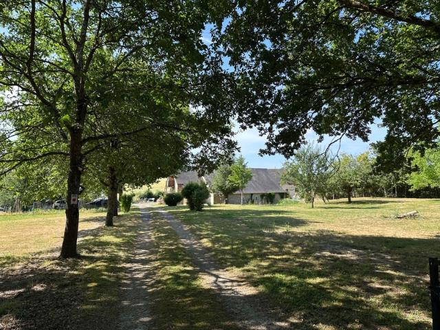 Ferme vente à La Flèche, Jupilles