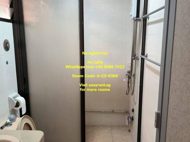 Room for rent