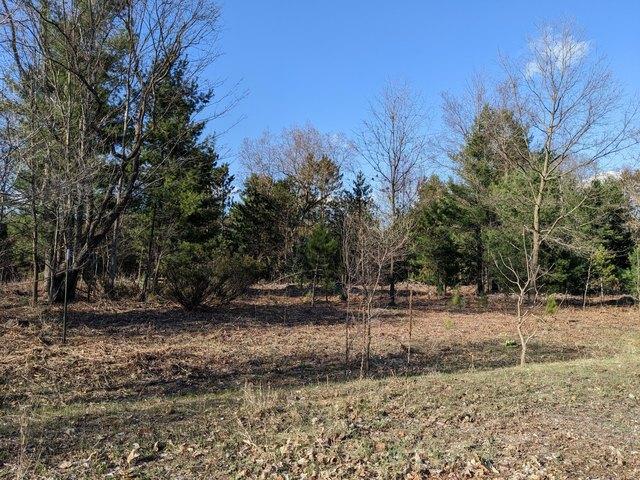 Land for sale in Kaleva, Manistee County