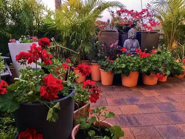 House for rent in Ballina, New South Wales
