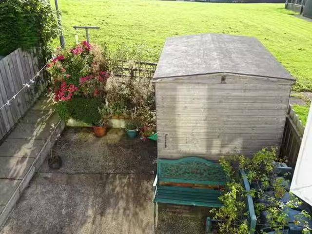 House to rent