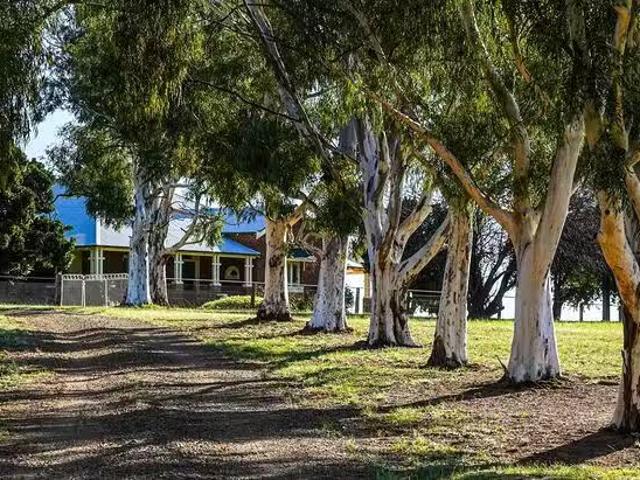 House for rent in Borenore, New South Wales