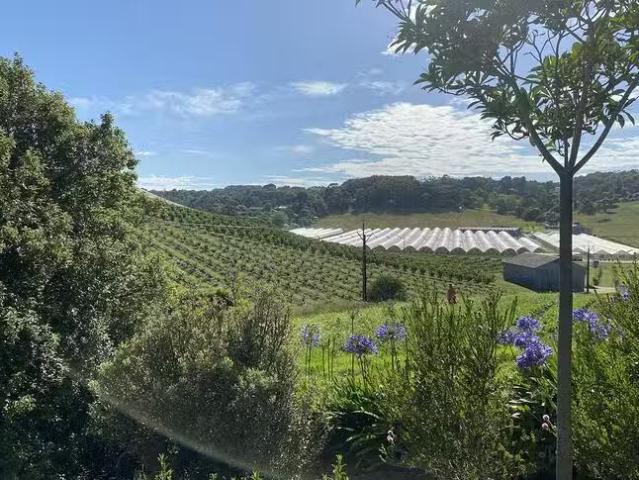 House for rent in Uraidla, South Australia