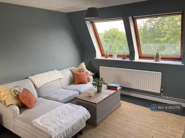 House for rent