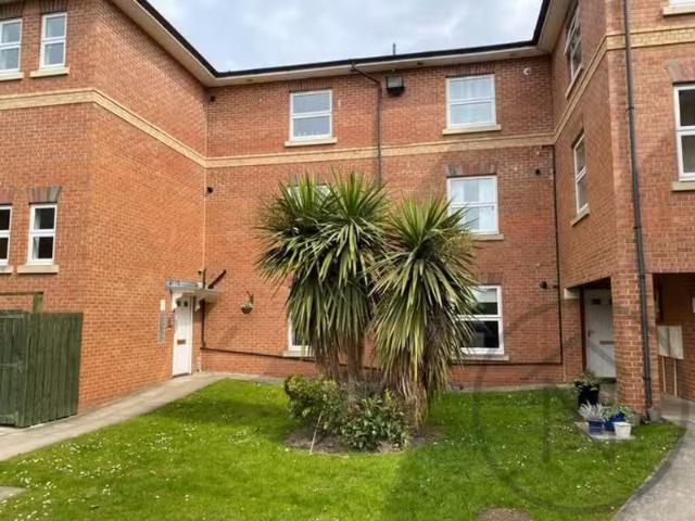 House for rent