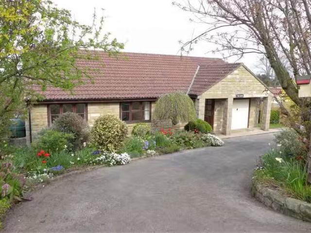 House for rent