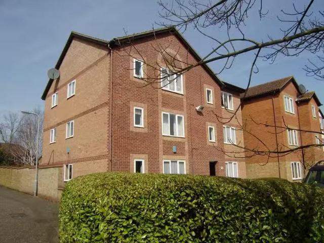 House for rent in Chelmsford, Essex