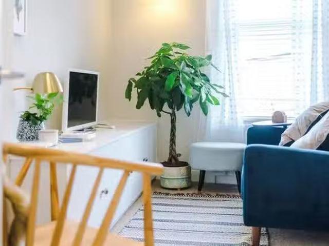 Apartment for rent in Newtown, Two Mills