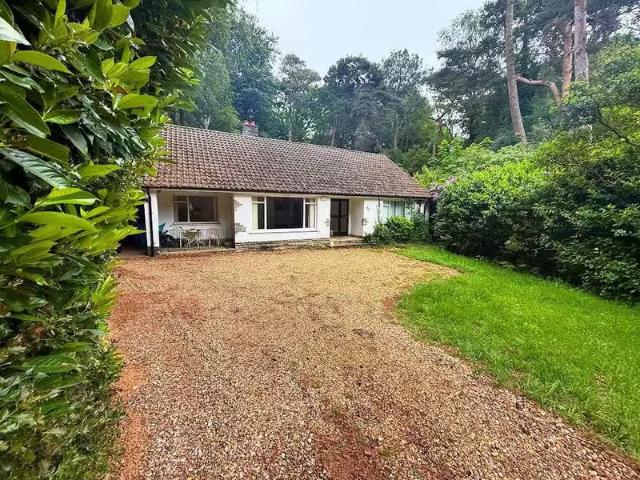 House for rent